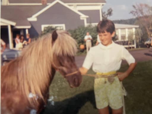 Horse taming photo